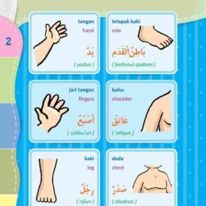 Kamus Bergambar Anak Muslim 3 Bahasa; Indonesia Inggris Arab; Tubuh Manusia; E295.2_11zon