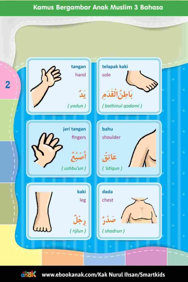 Kamus Bergambar Anak Muslim 3 Bahasa; Indonesia Inggris Arab; Tubuh Manusia; E295.2_11zon